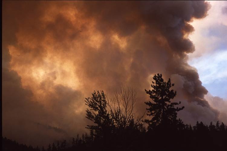 Oregon wildfires million acre total reflects scenes like this smoke-covered timber land in the Pacific Northwest