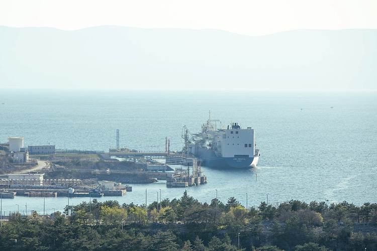 Oil surges past $100 a barrel as tankers face new risk on Red Sea shipping routes