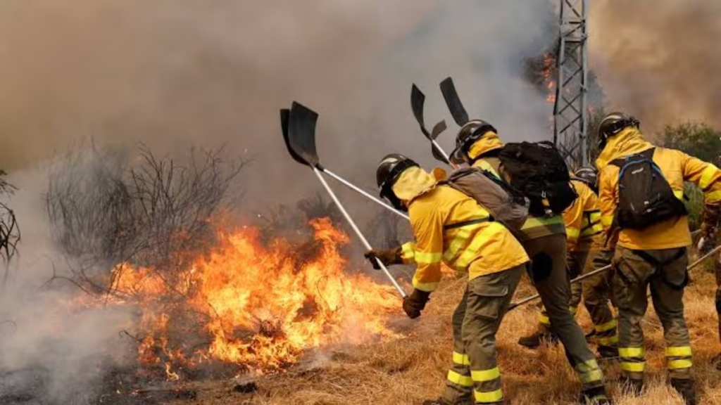 Spain Deploys 275 Firefighters in Andalusia Forest Blaze