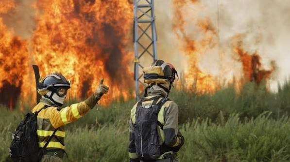 Spain Deploys 275 Firefighters in Andalusia Forest Blaze