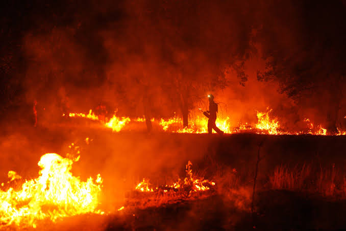 Spain Deploys 275 Firefighters in Andalusia Forest Blaze