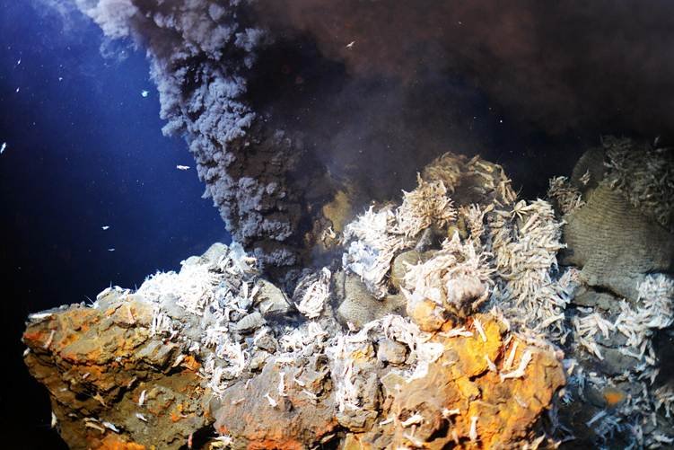 Deep-sea gold kitchen research examined mineral formations similar to this sample from a submarine volcano expedition